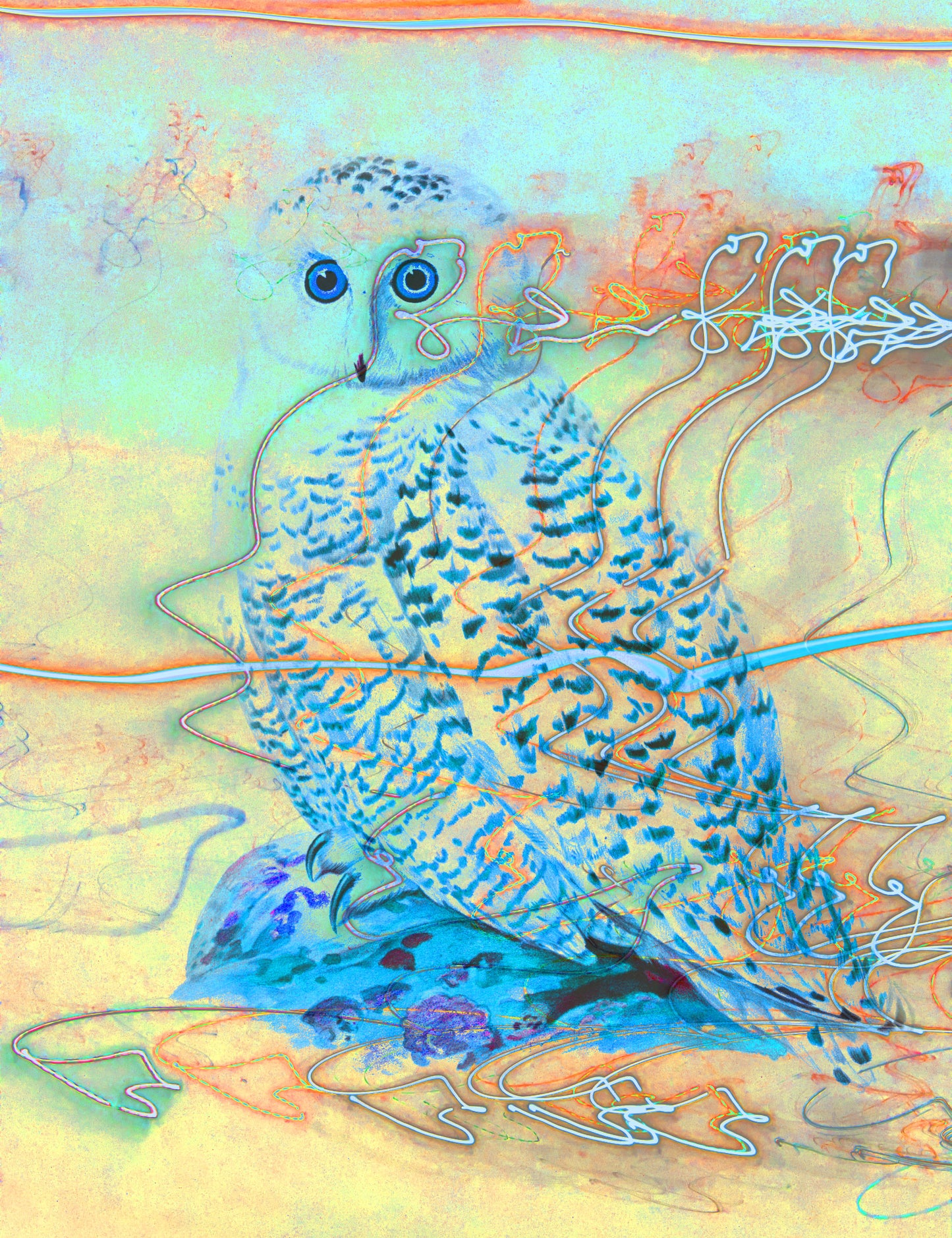 Arctic animals Prints