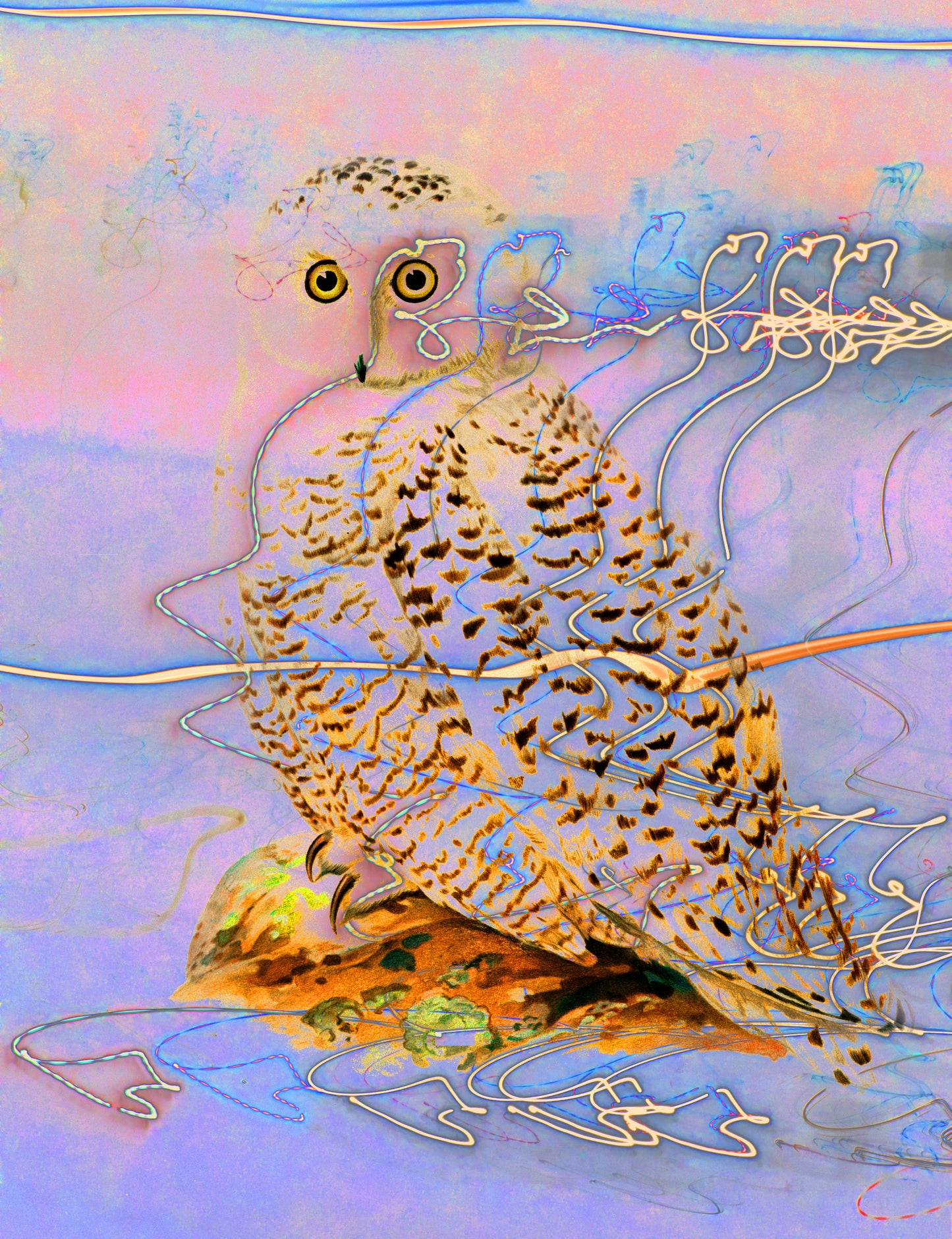 Arctic animals Prints