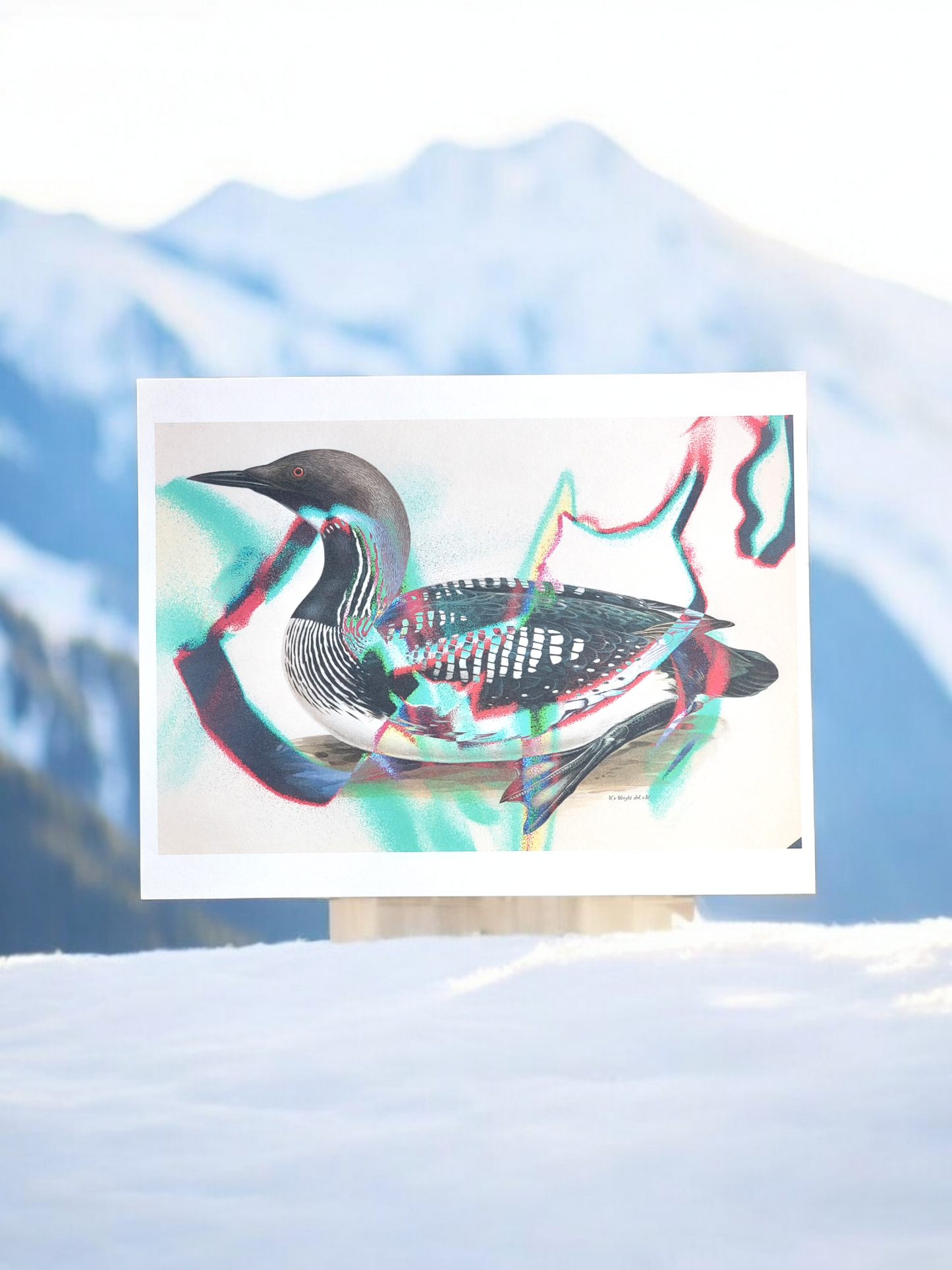 Arctic animals Prints