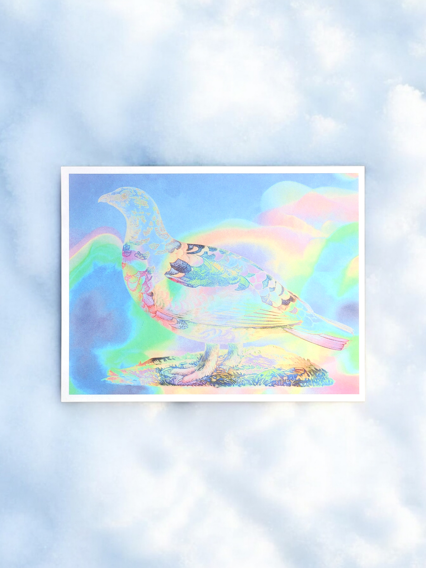 Arctic animals Prints